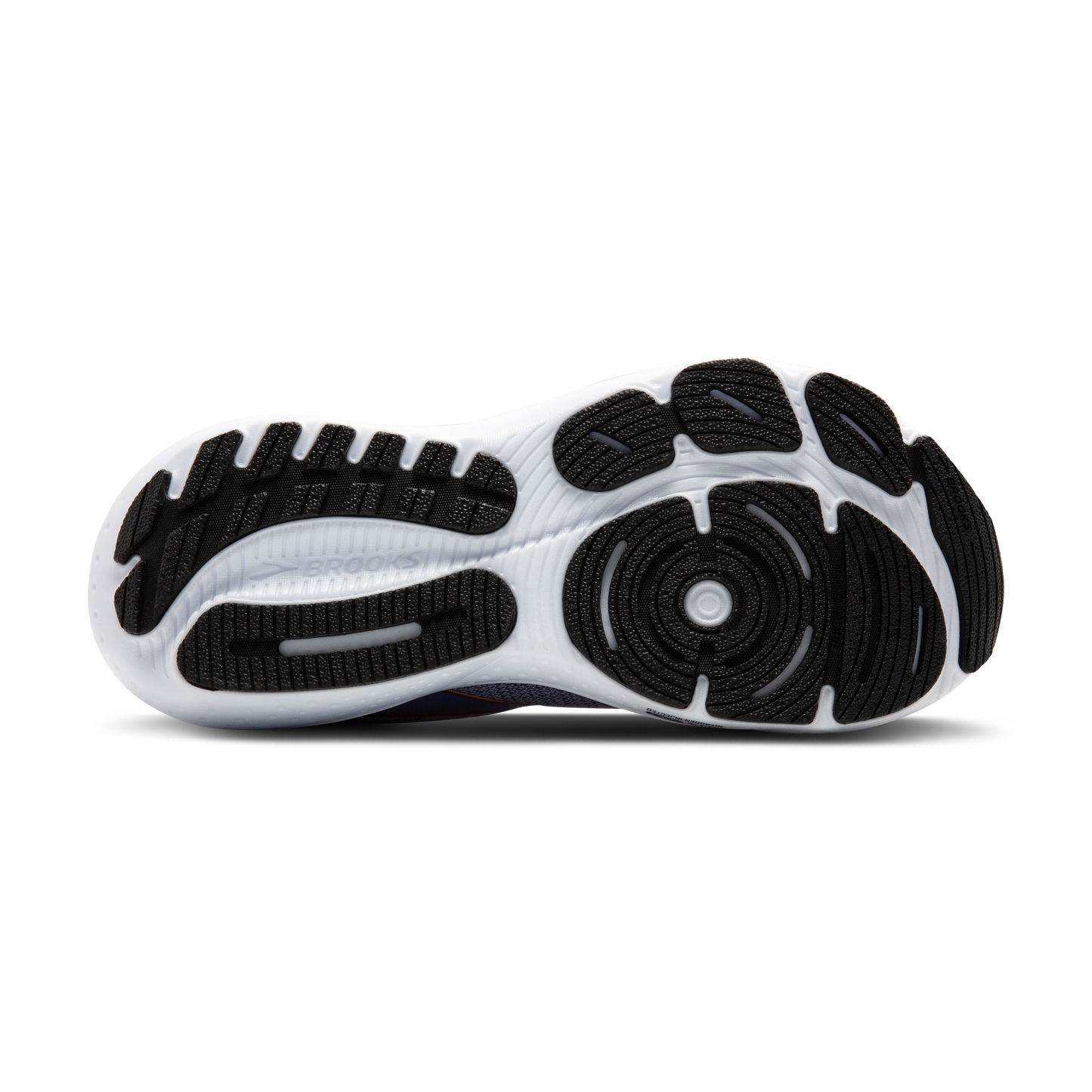 sole