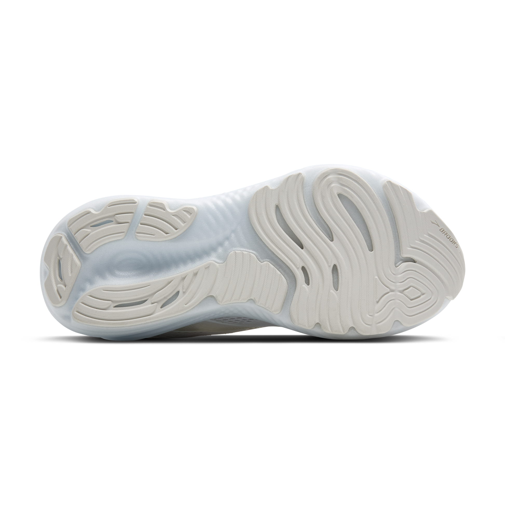 sole