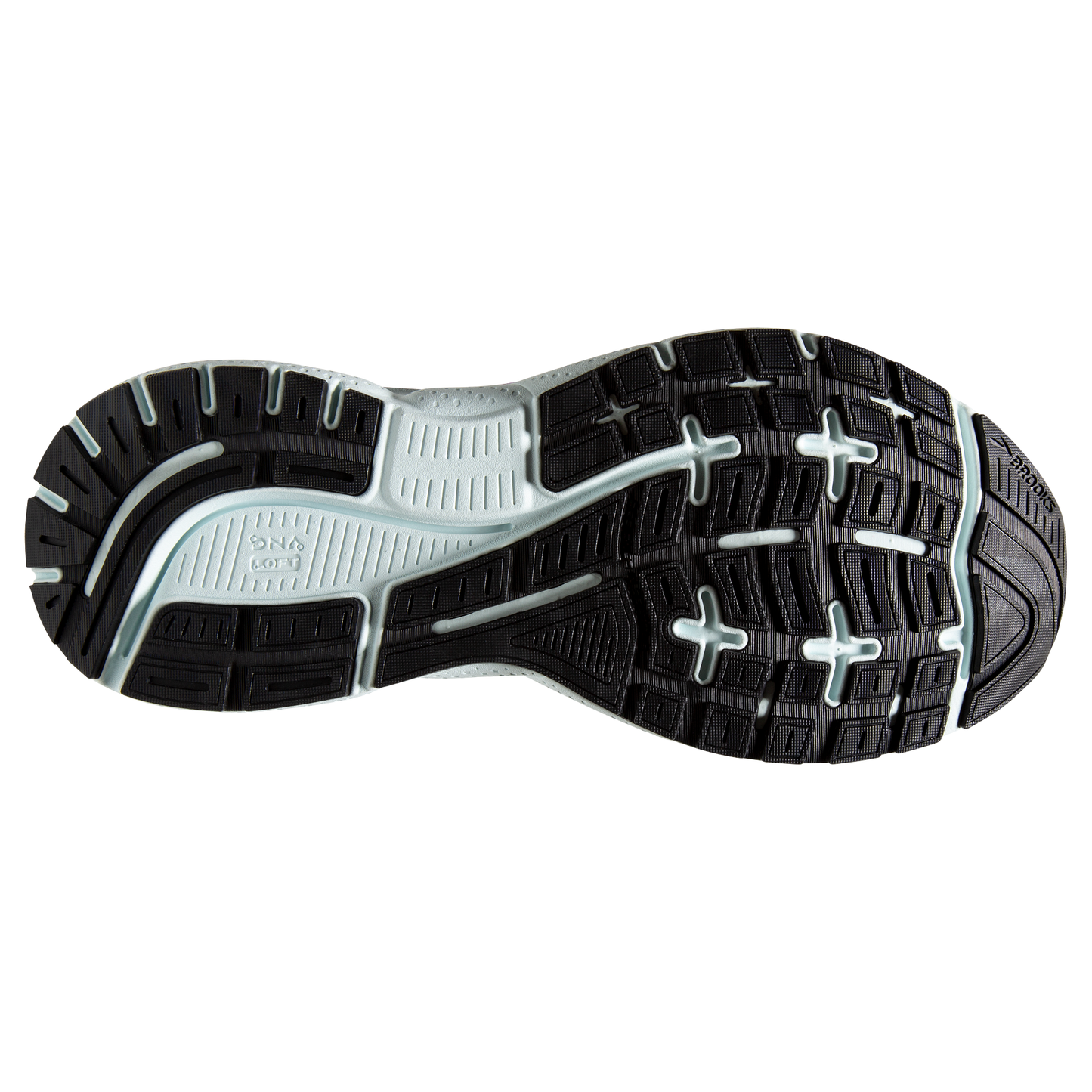 sole