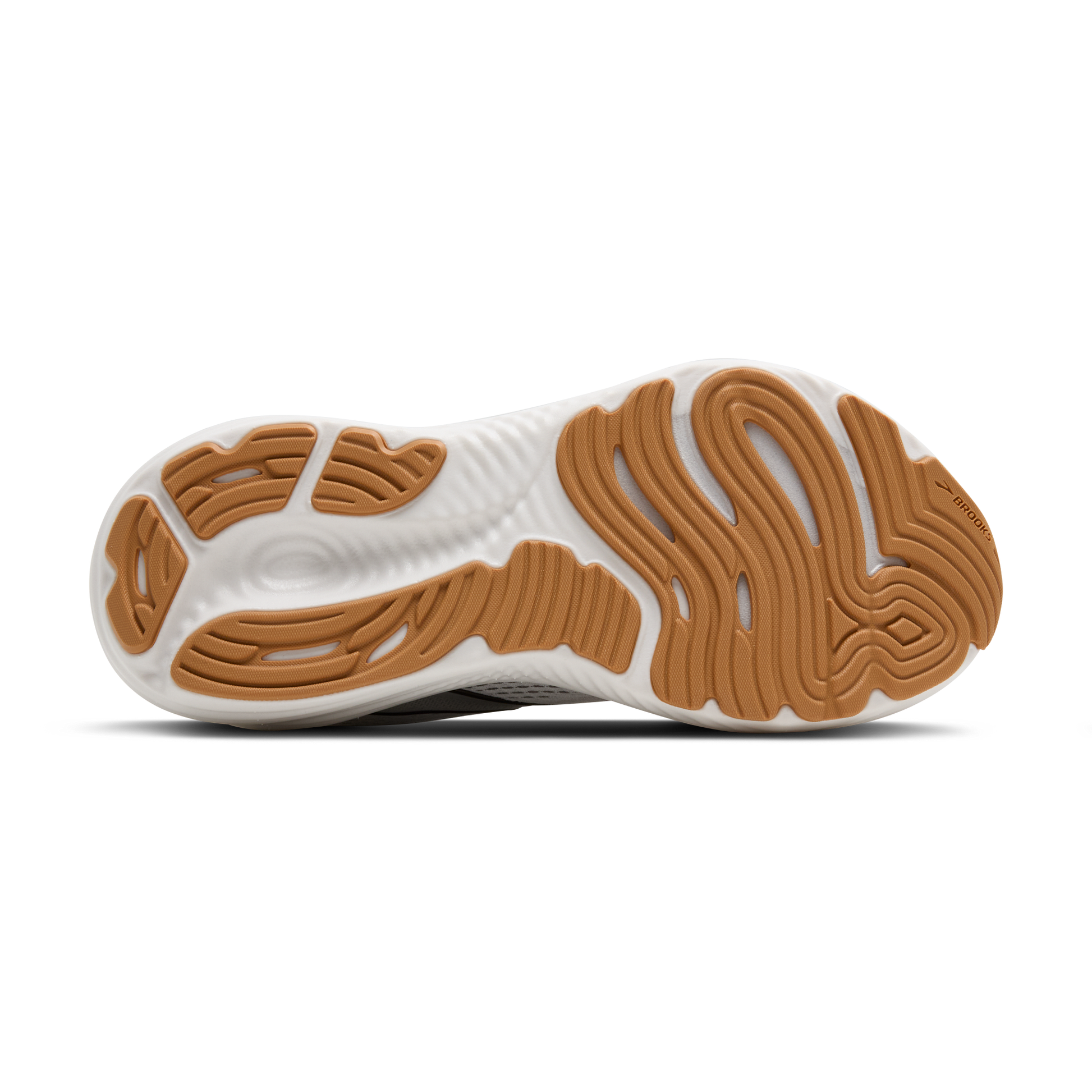 sole