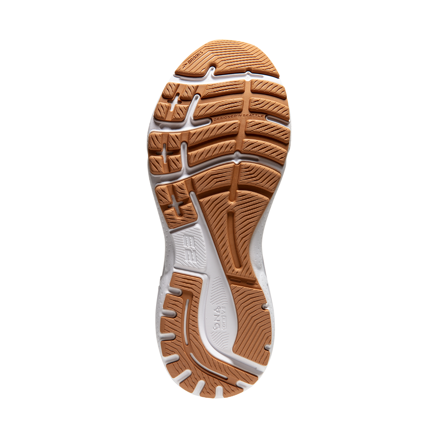 sole