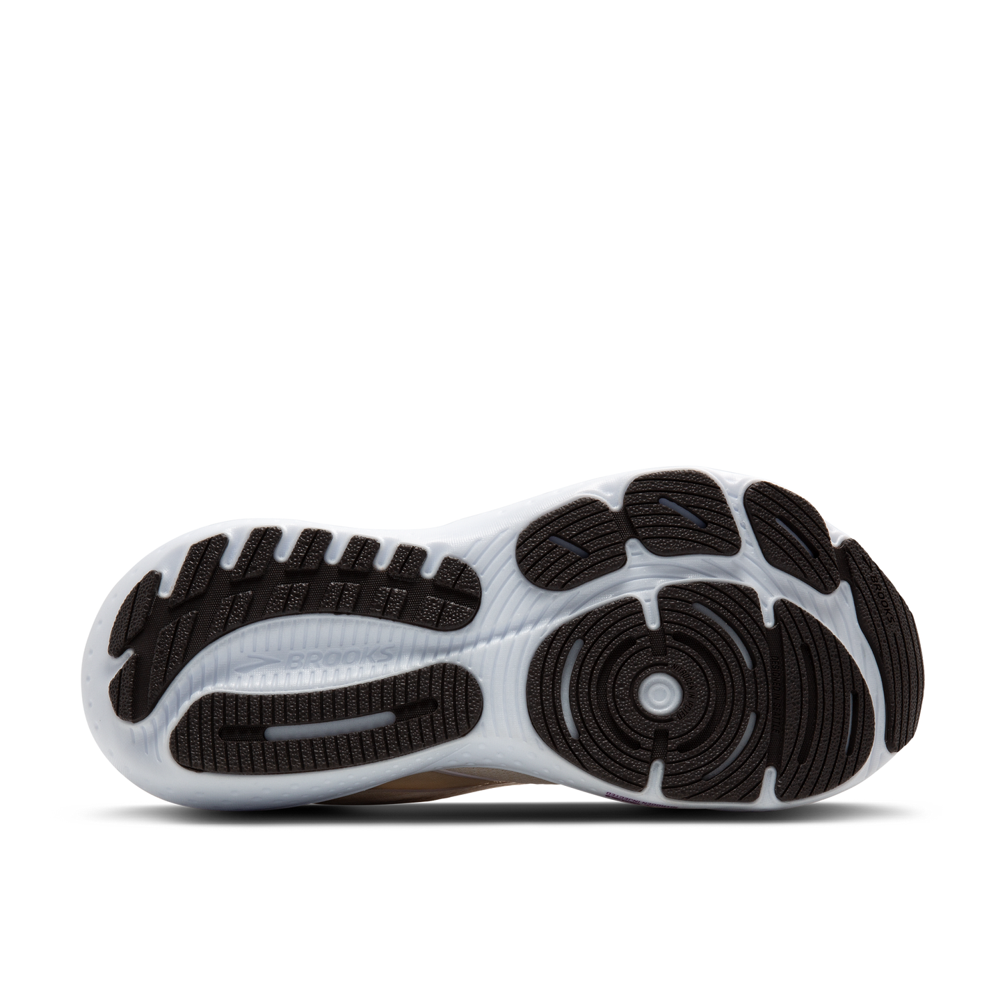 sole