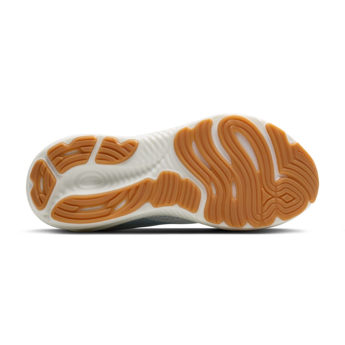 sole