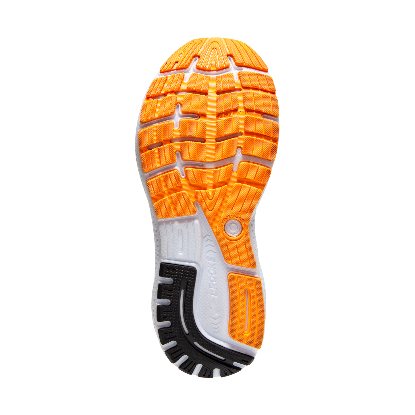 sole