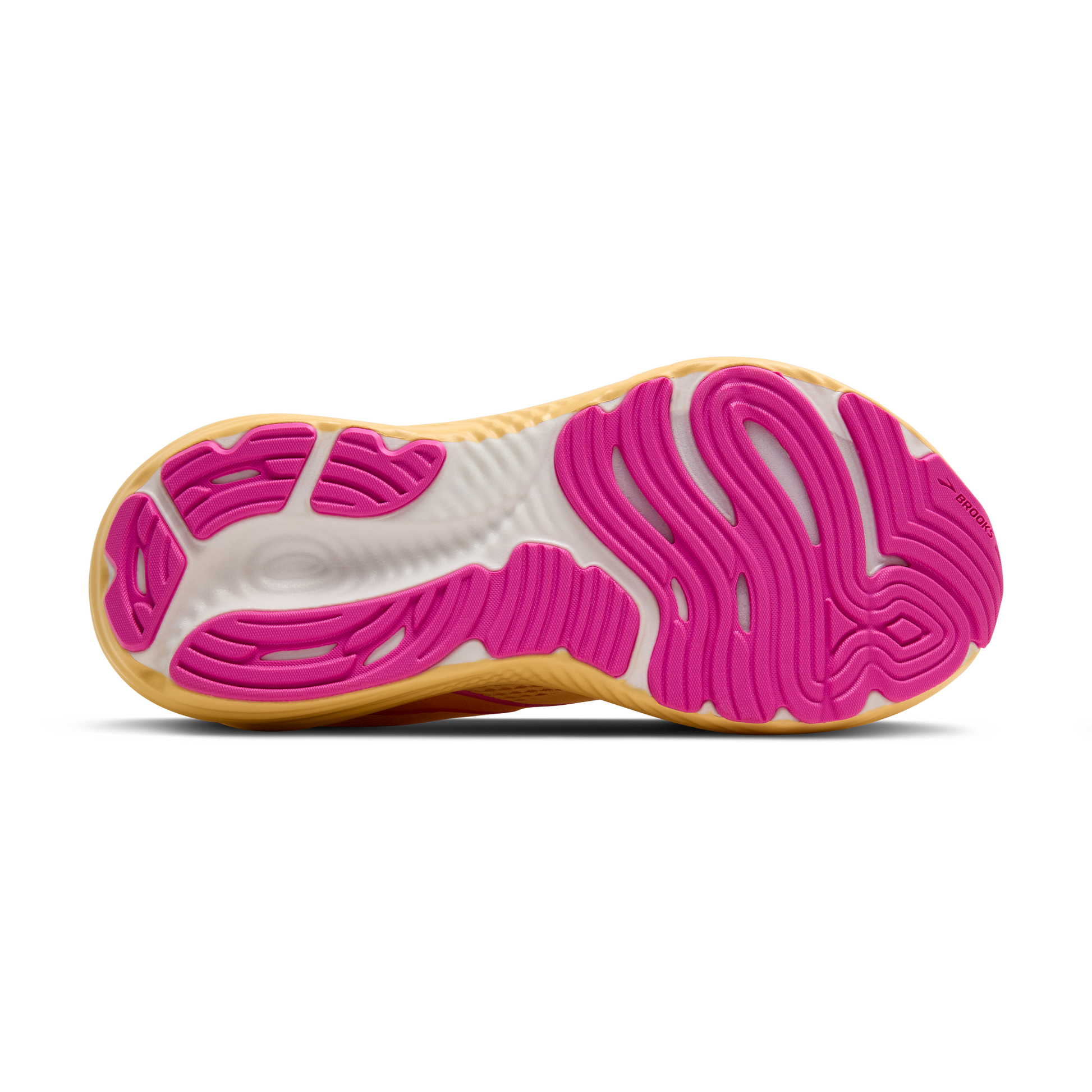 sole