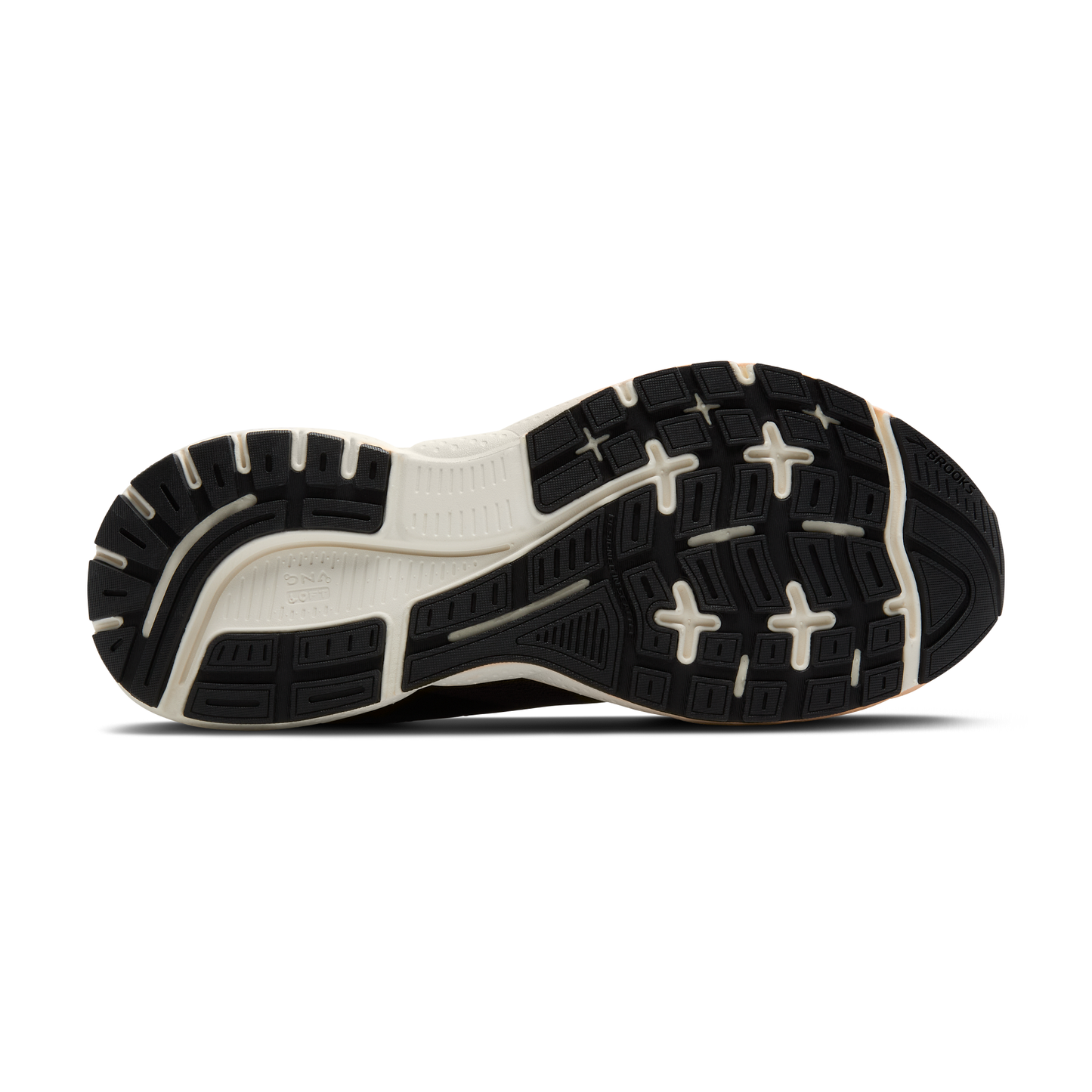 sole