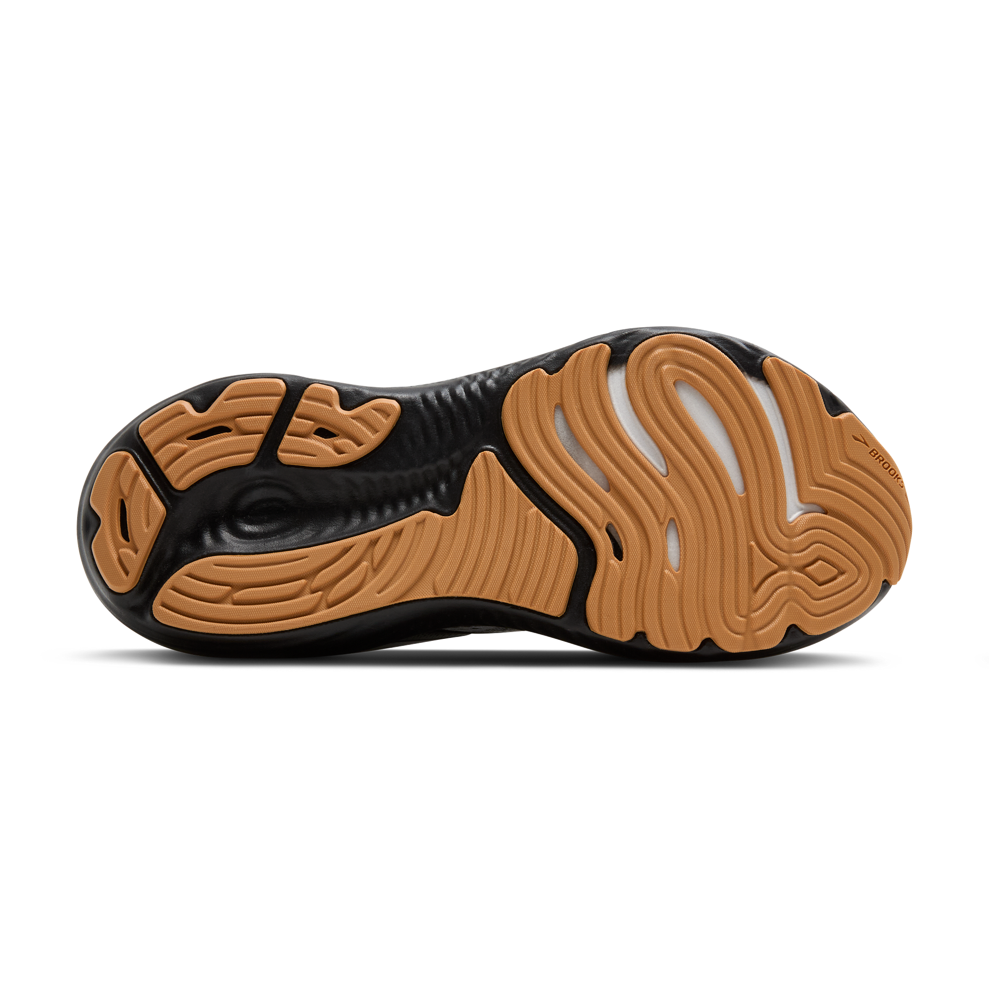 sole