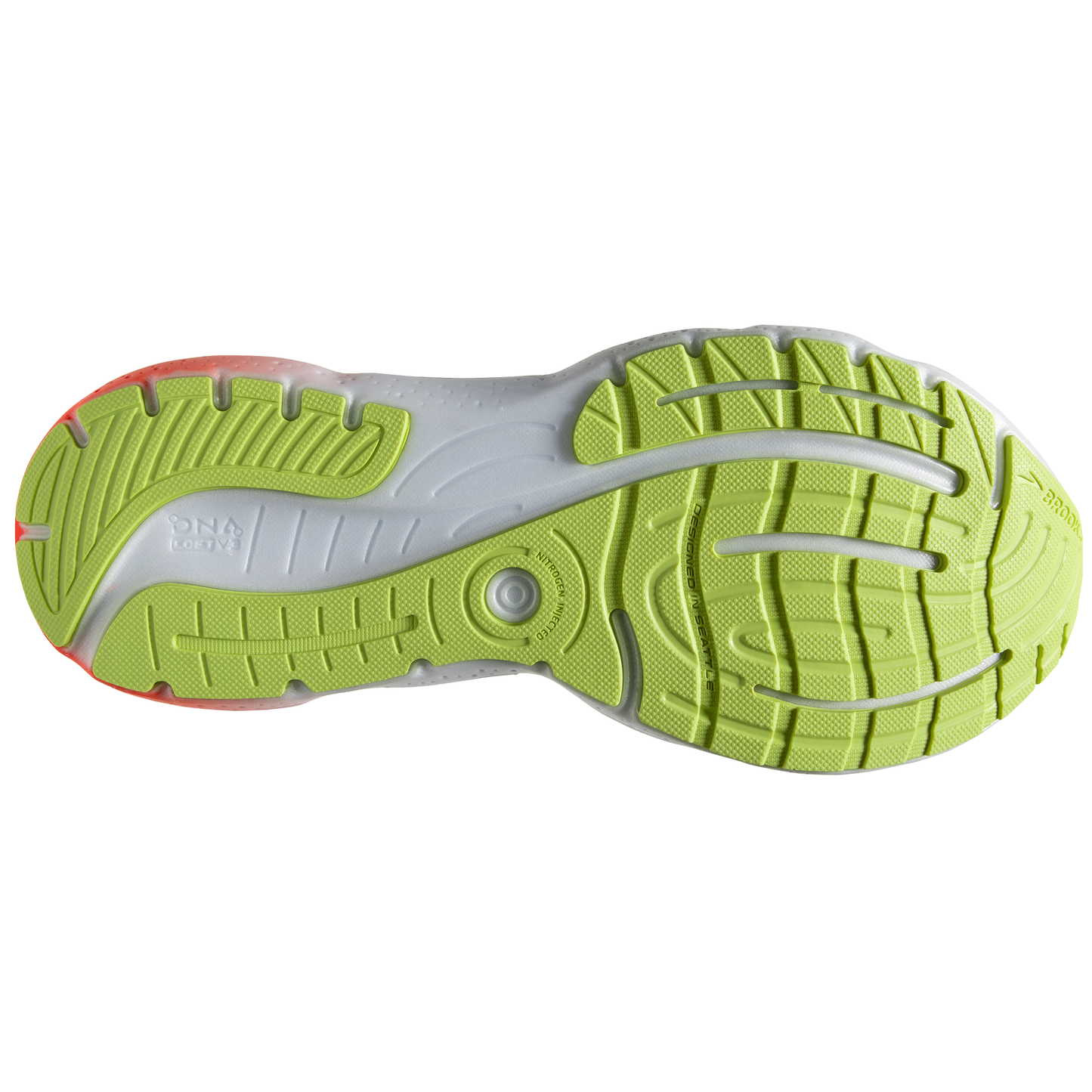 sole