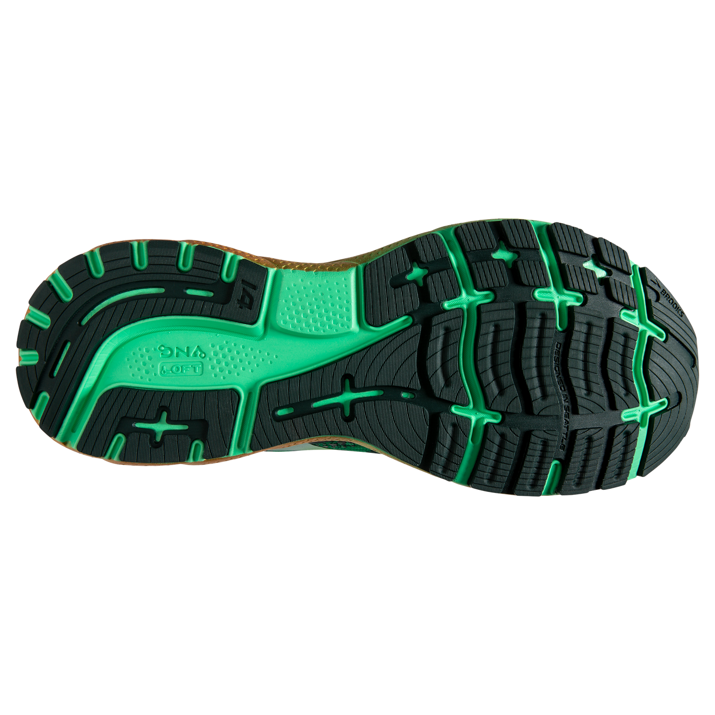 sole