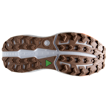 sole