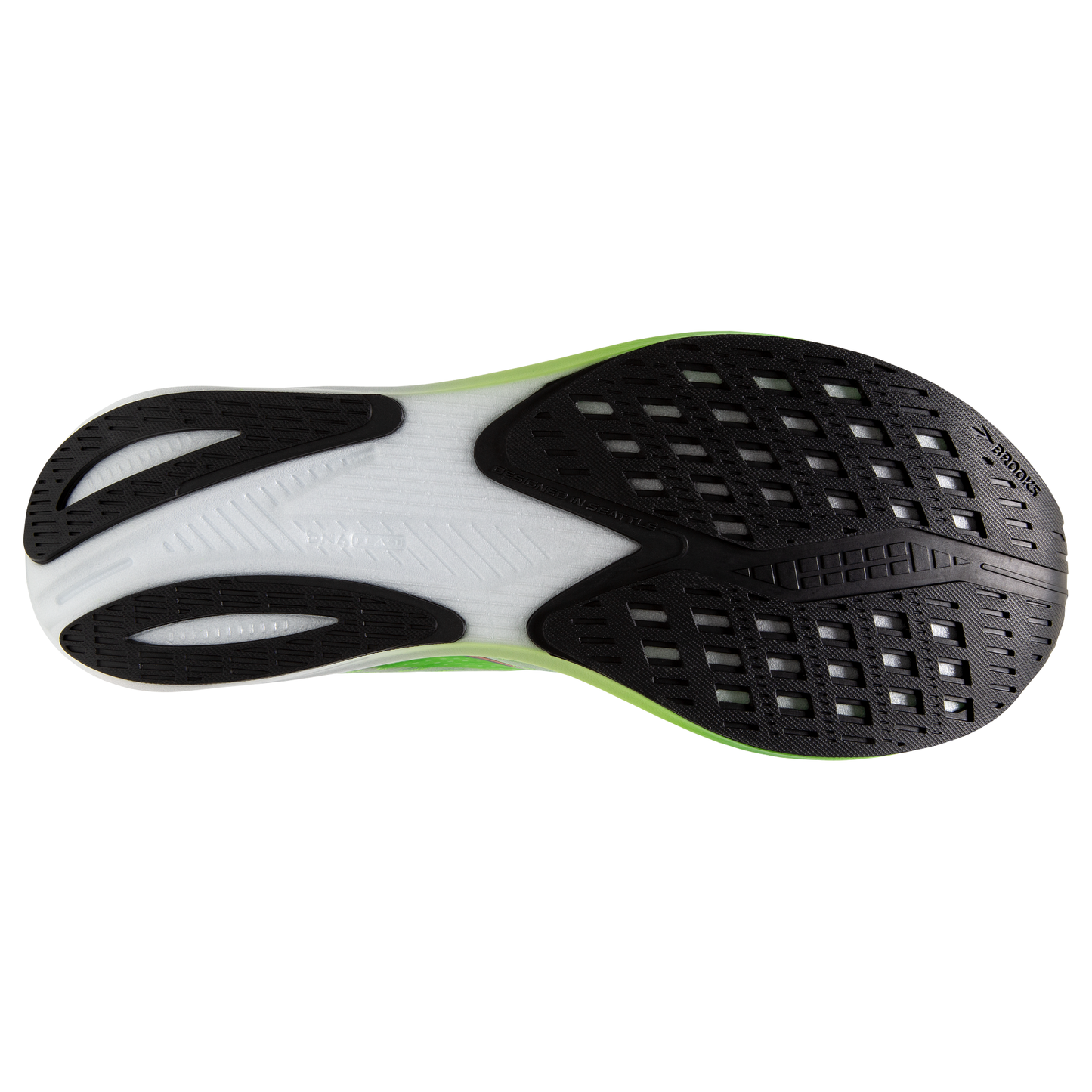 sole