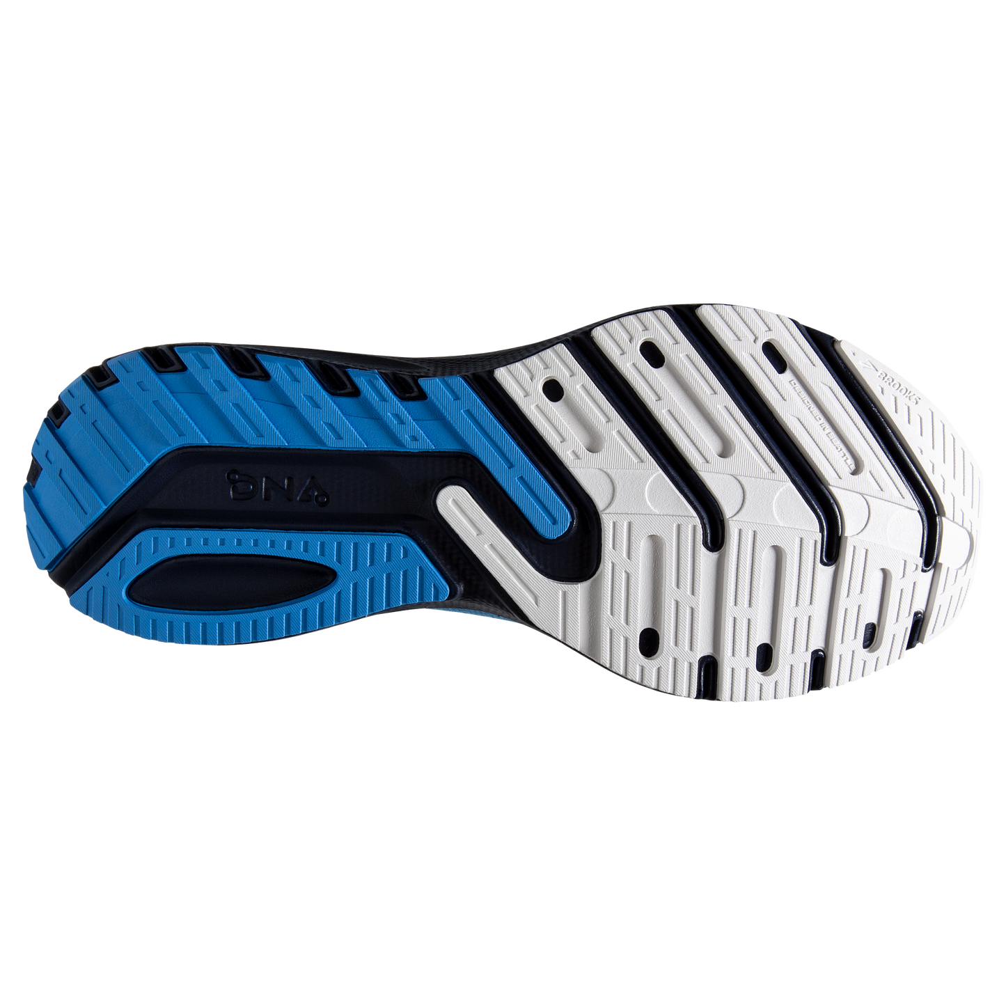 sole