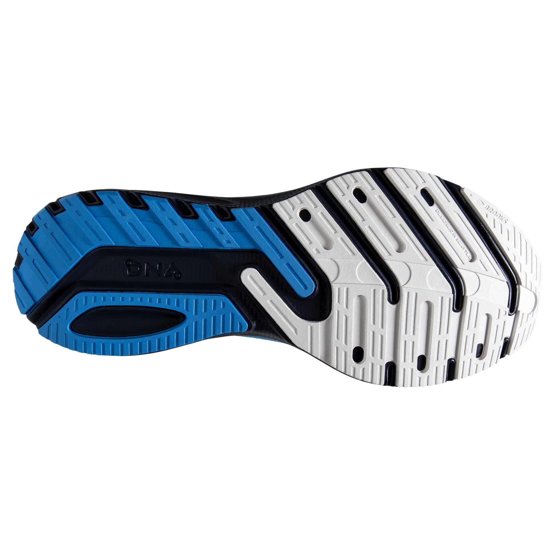 sole