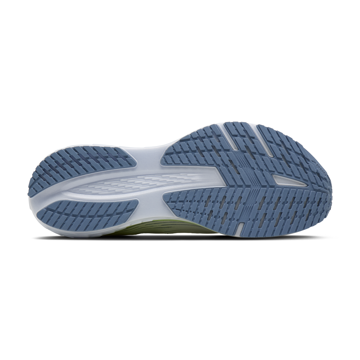 sole