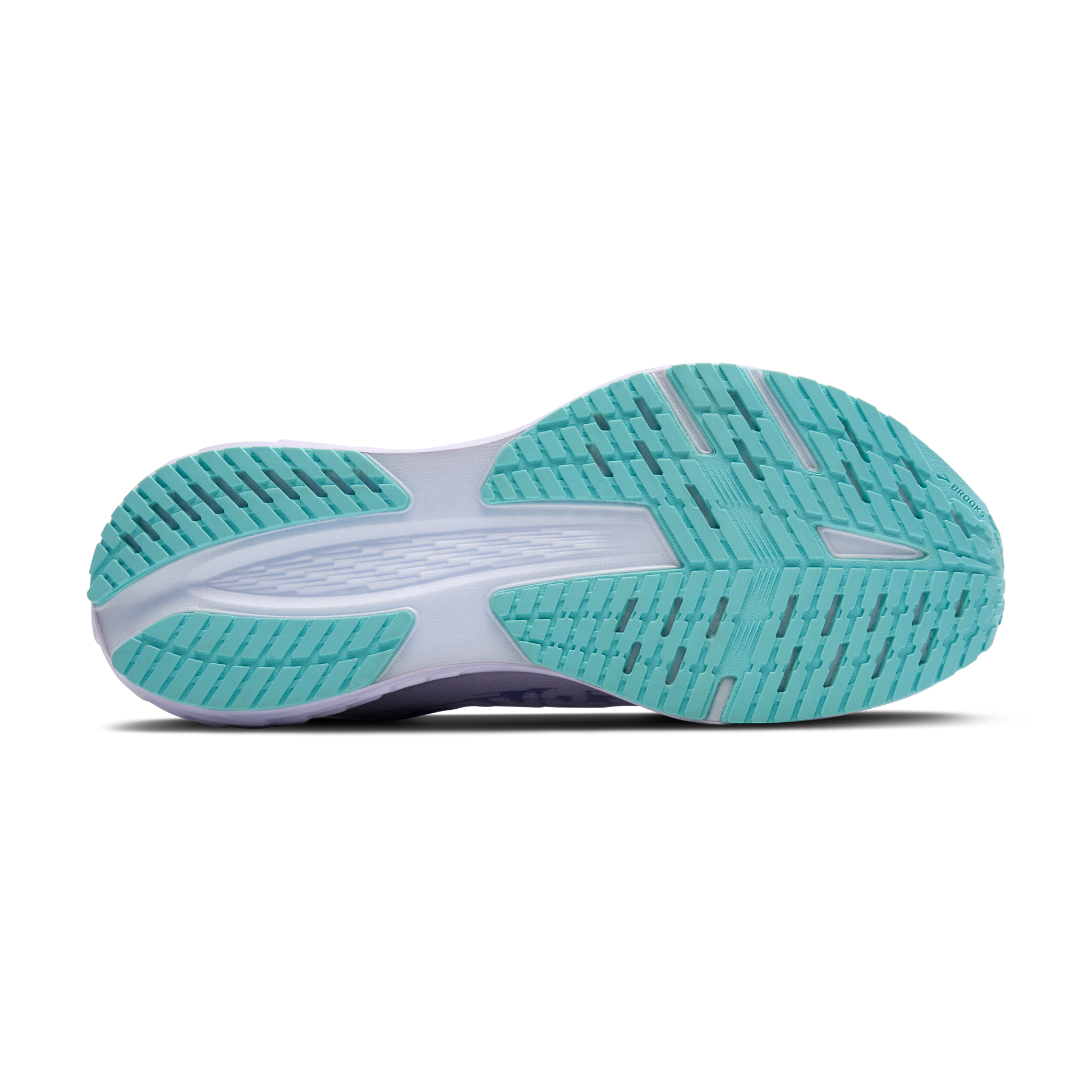 sole
