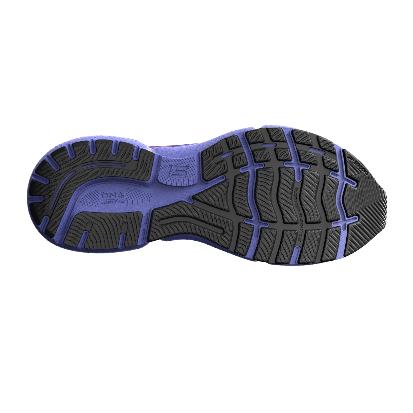sole