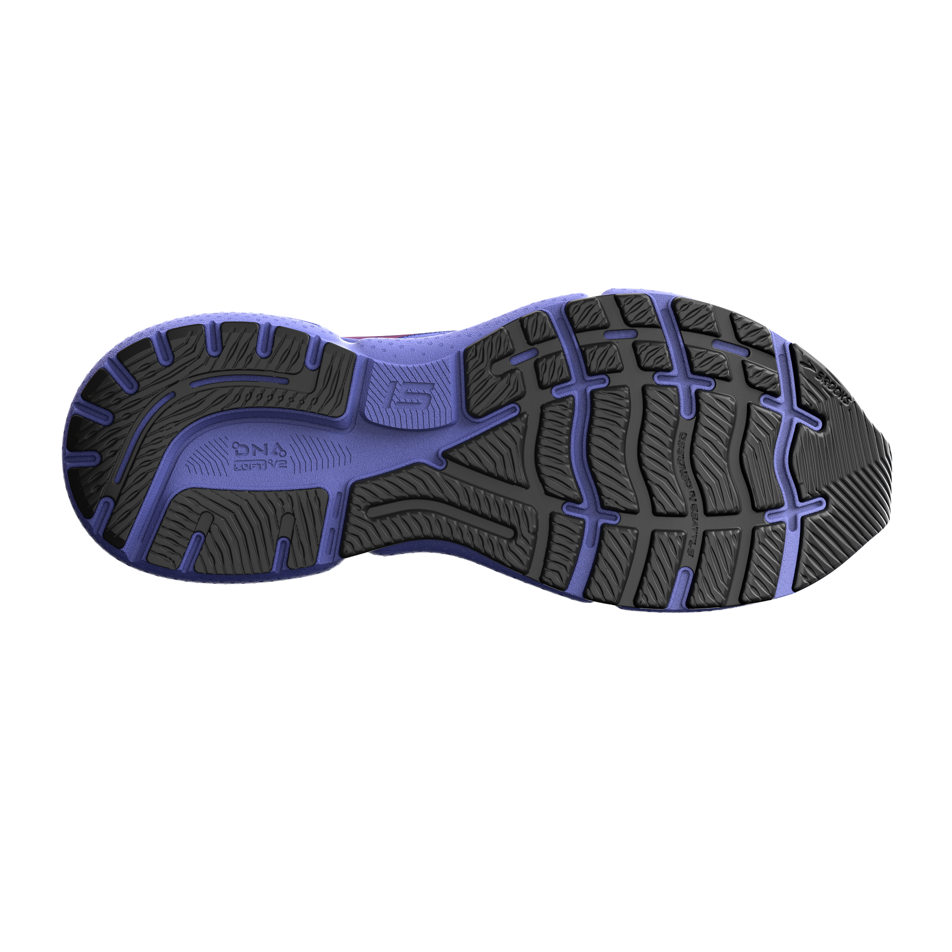 sole