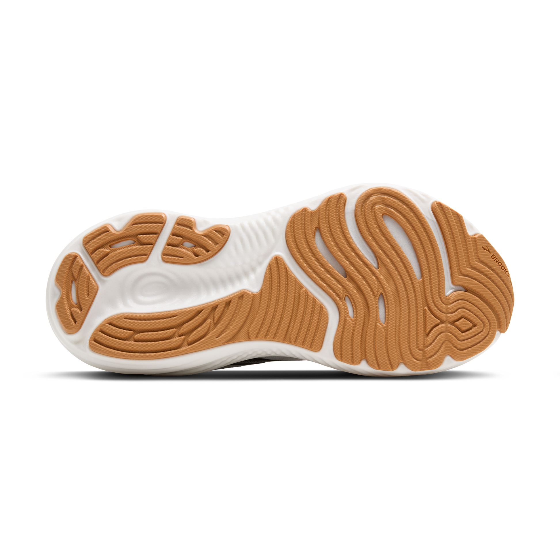 sole