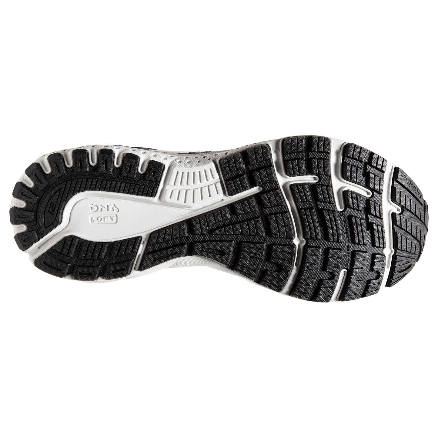 sole