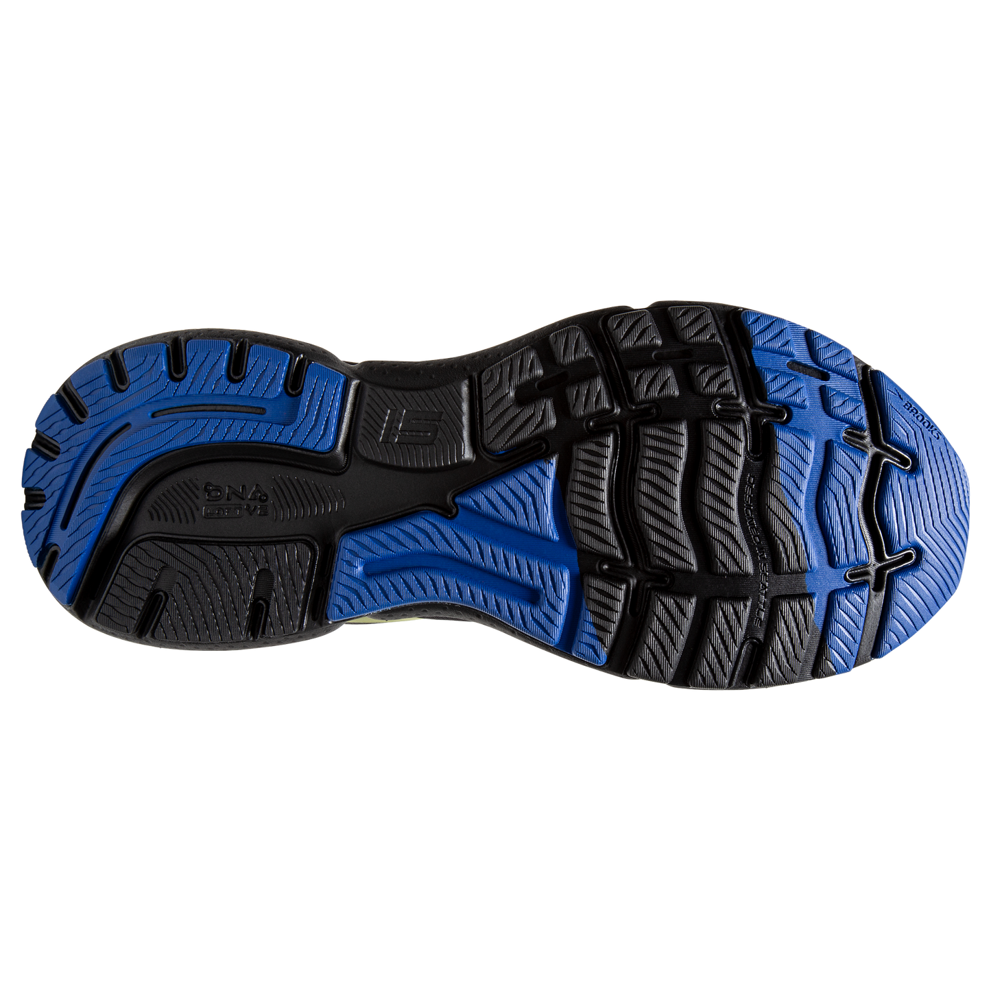 sole