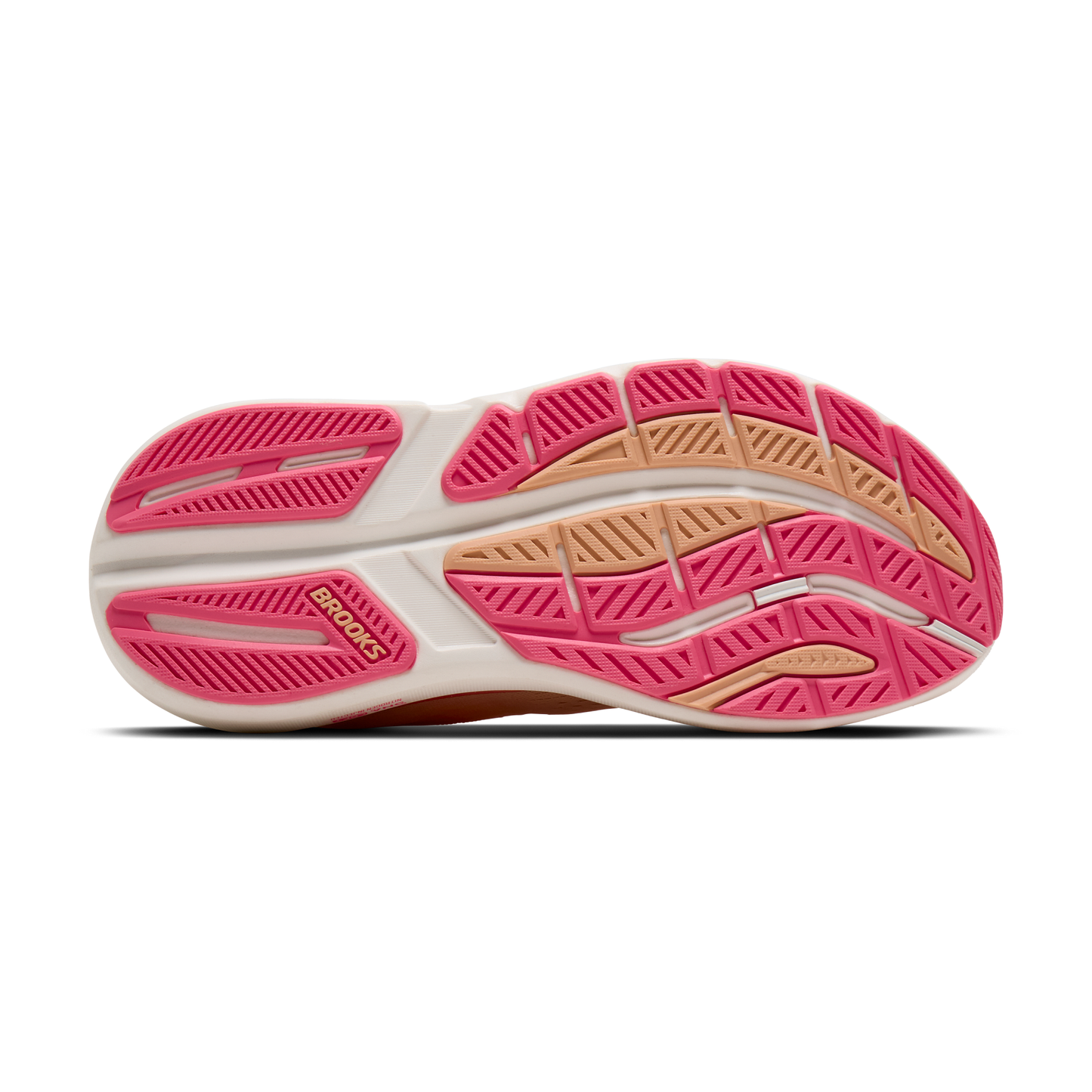 sole