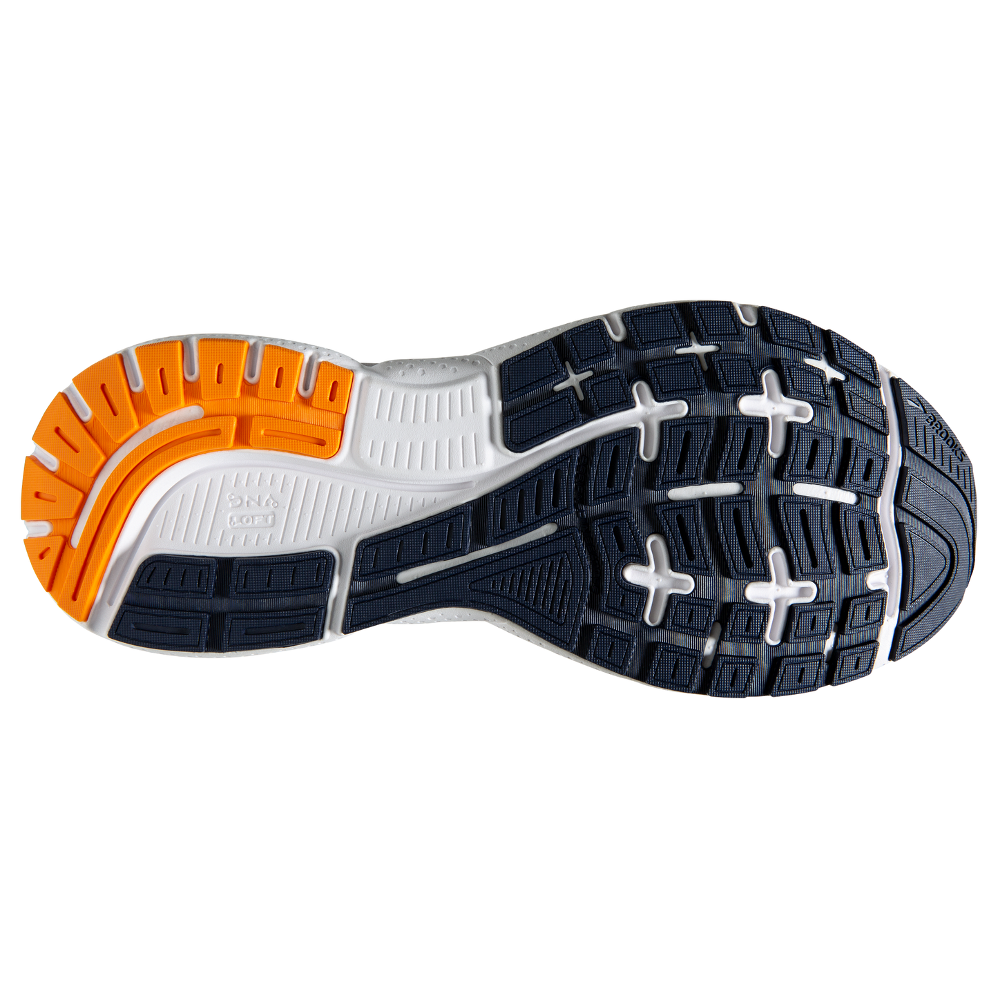 sole