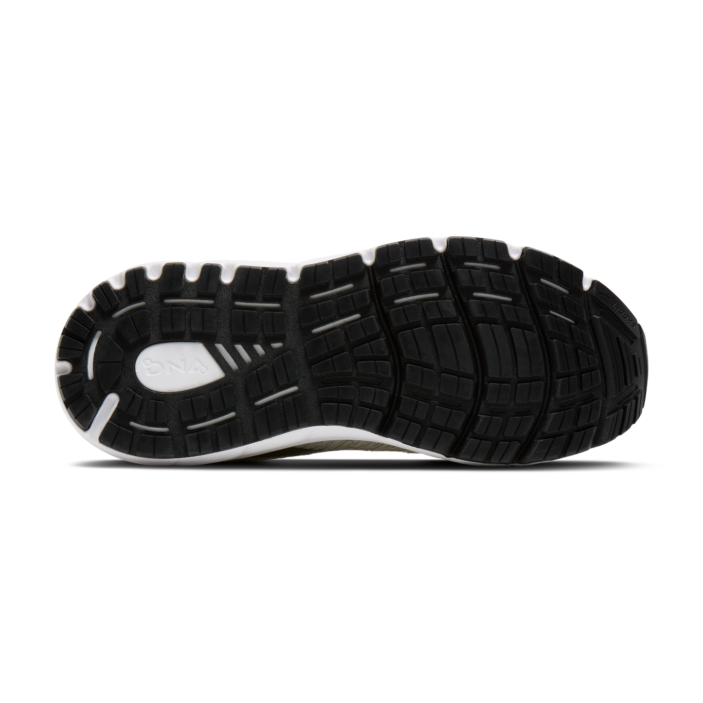 sole