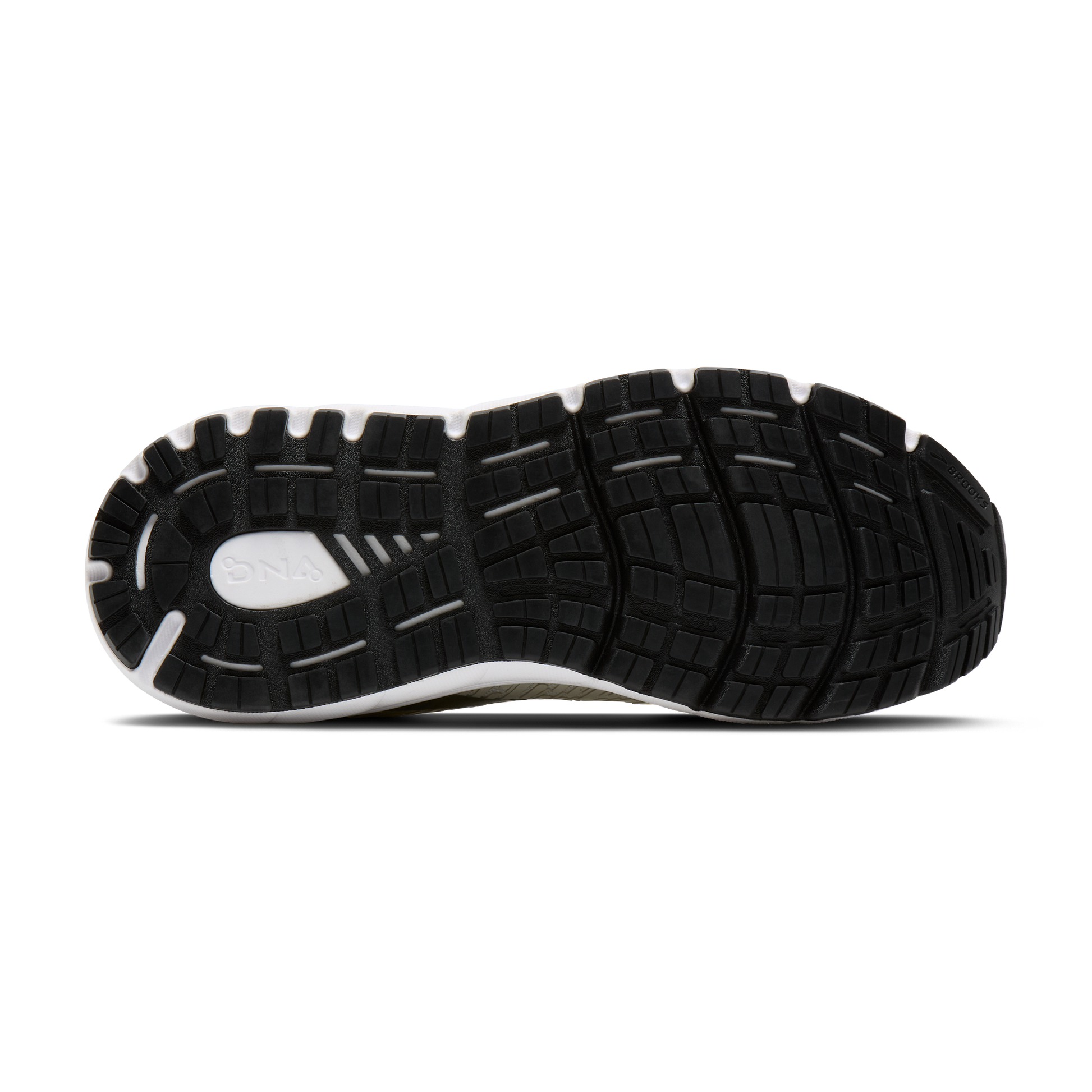 sole