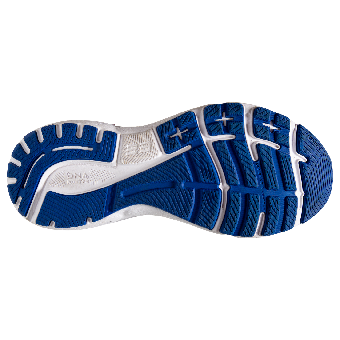 sole