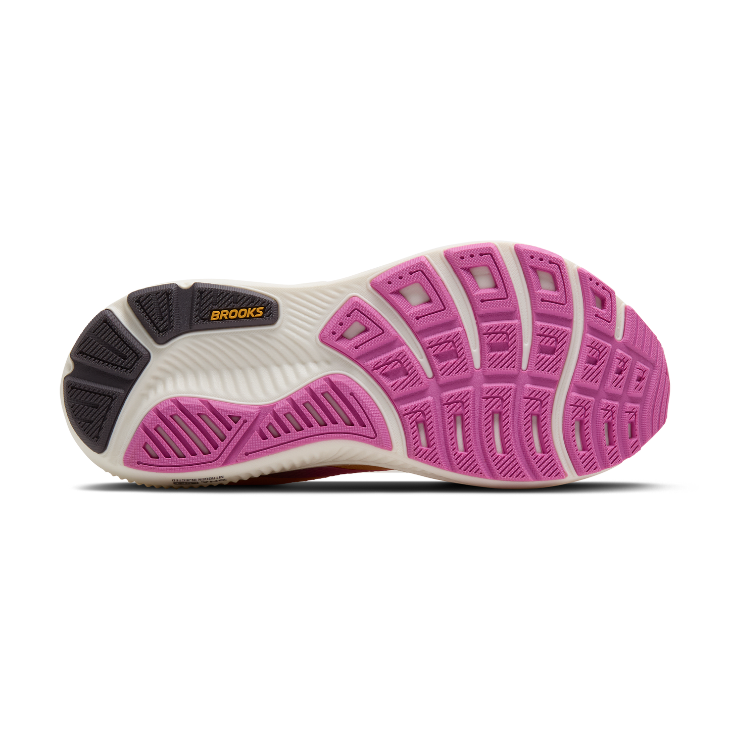 sole