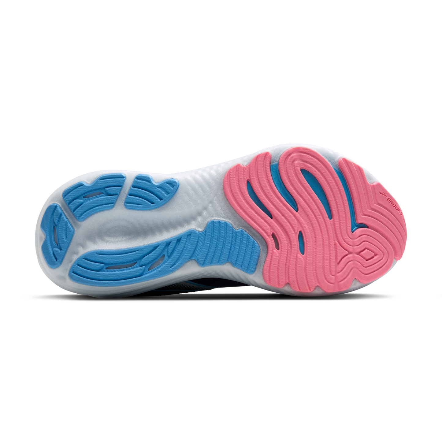 sole