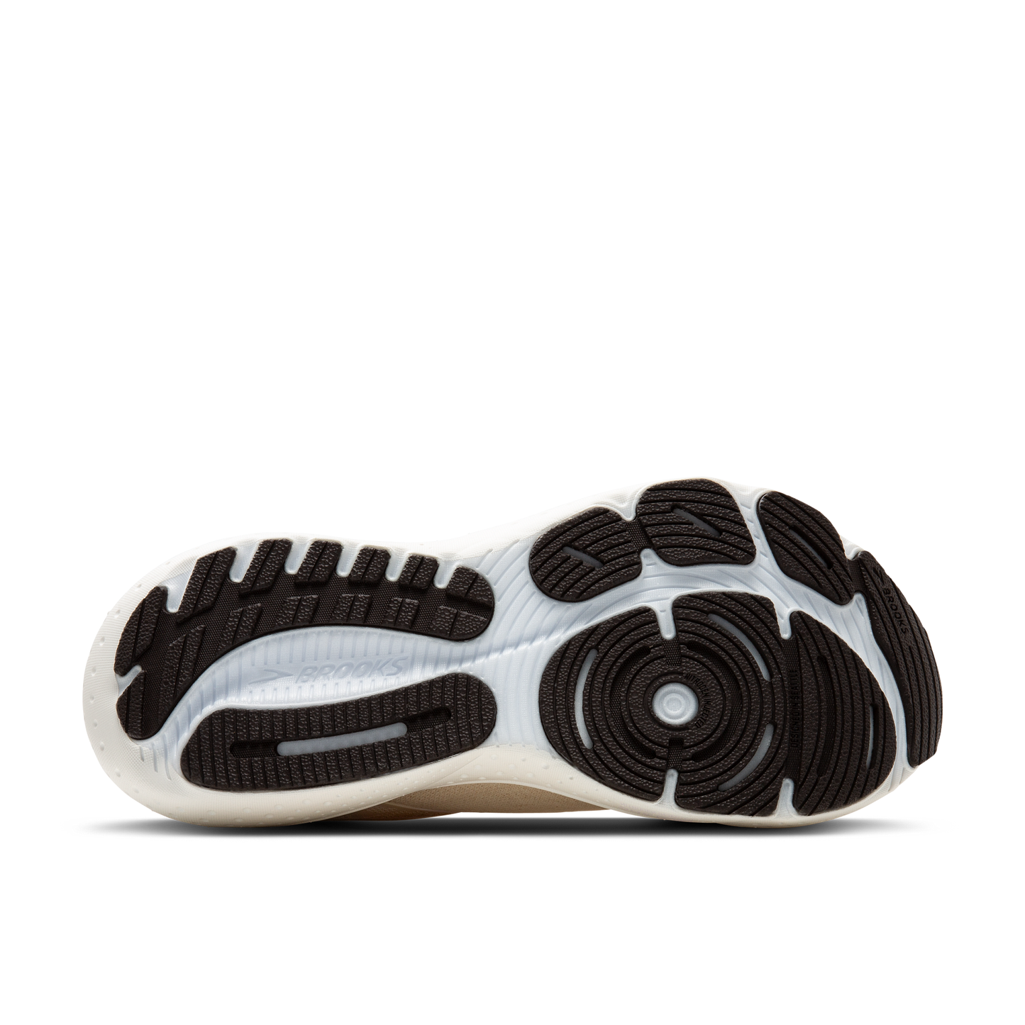 sole