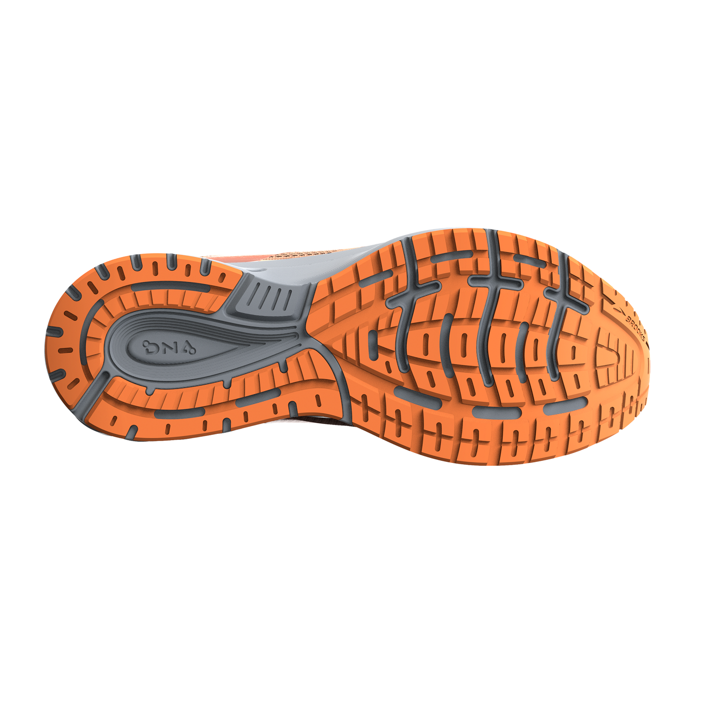 sole