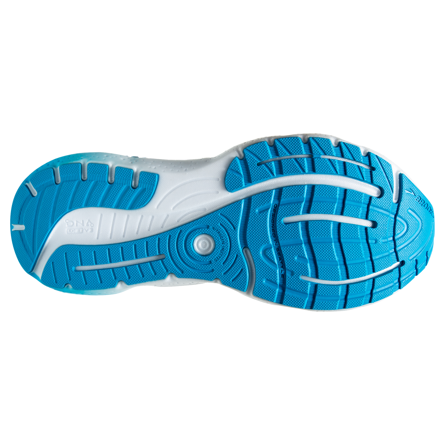 sole