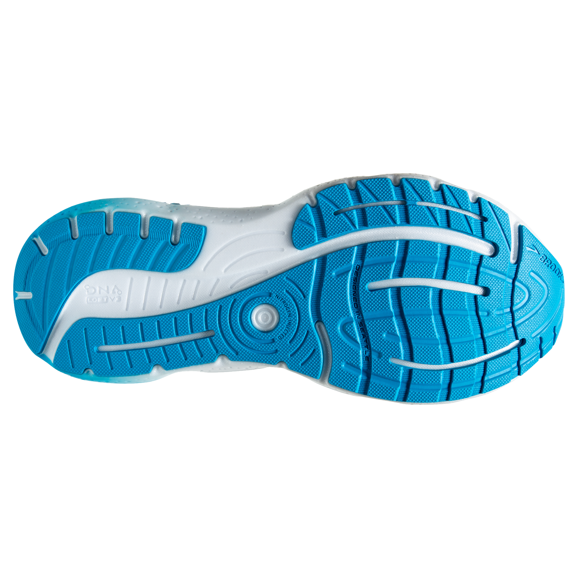 sole