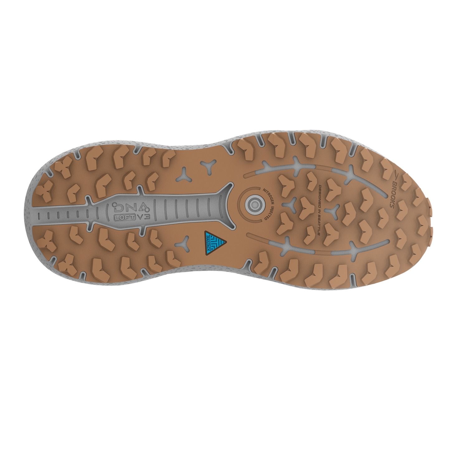 sole