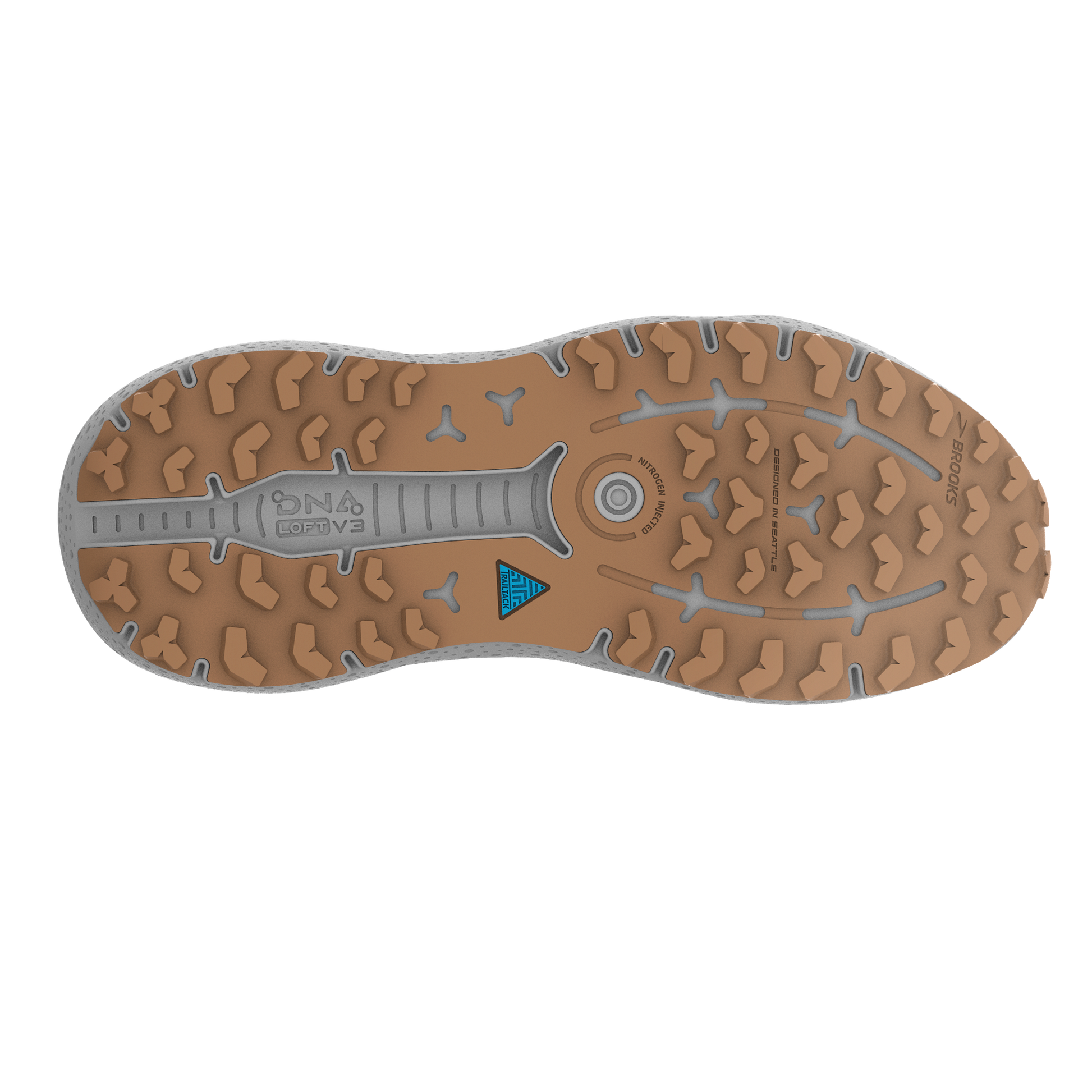 sole