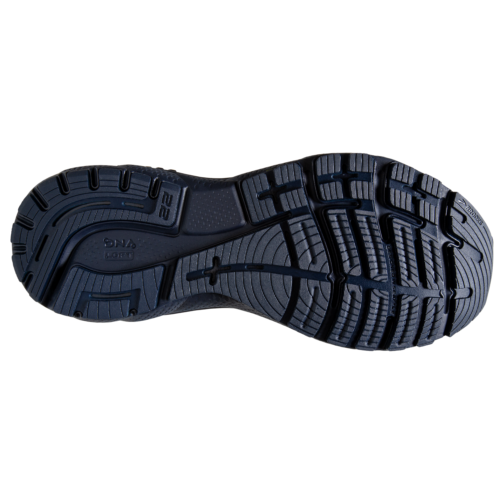 sole