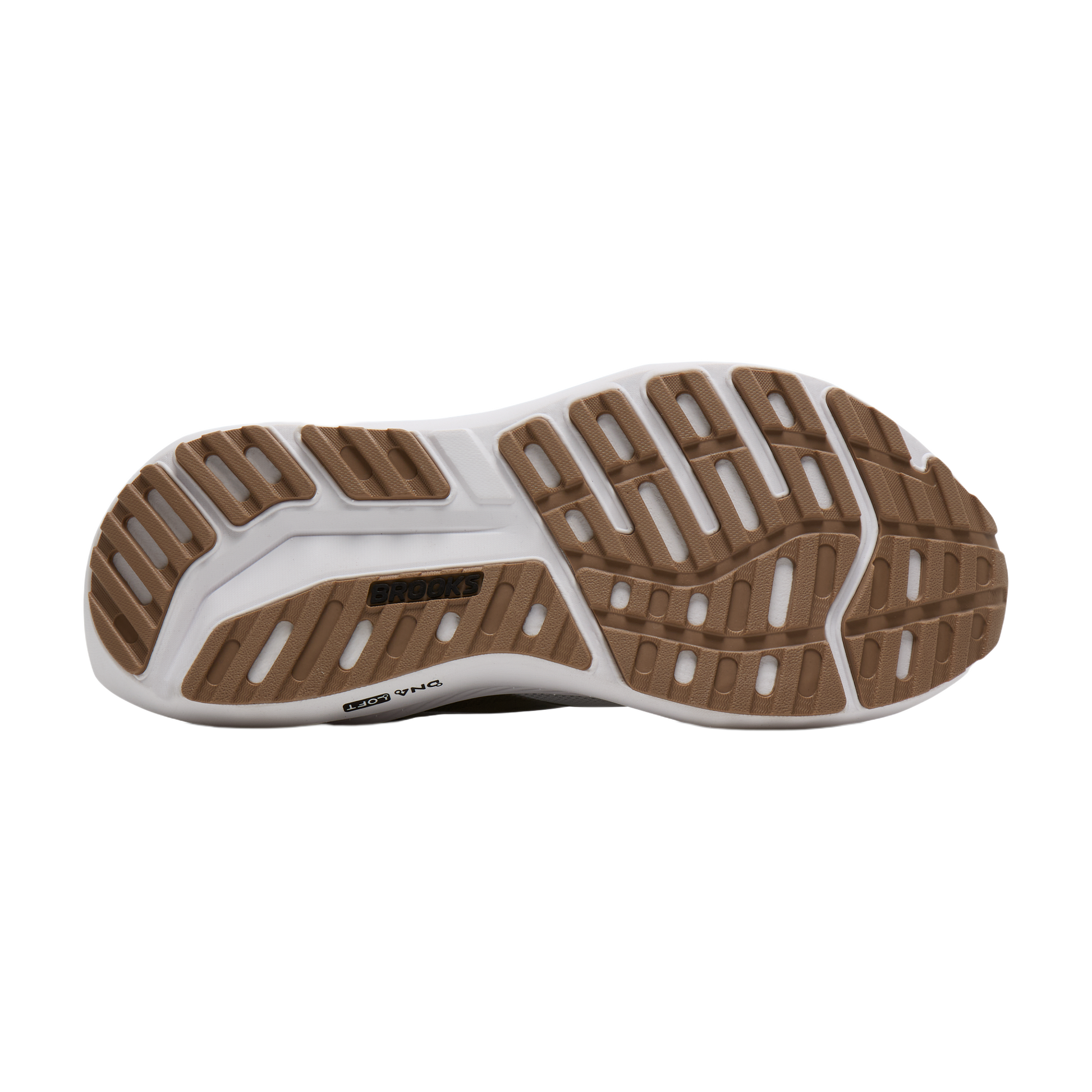 sole