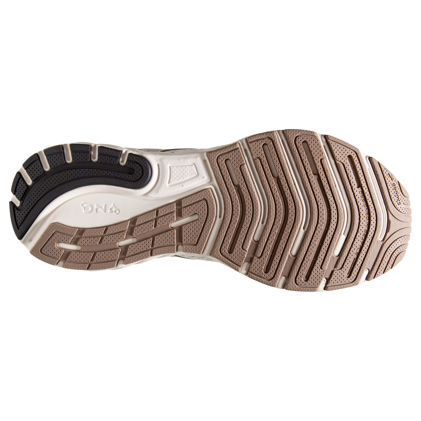 sole
