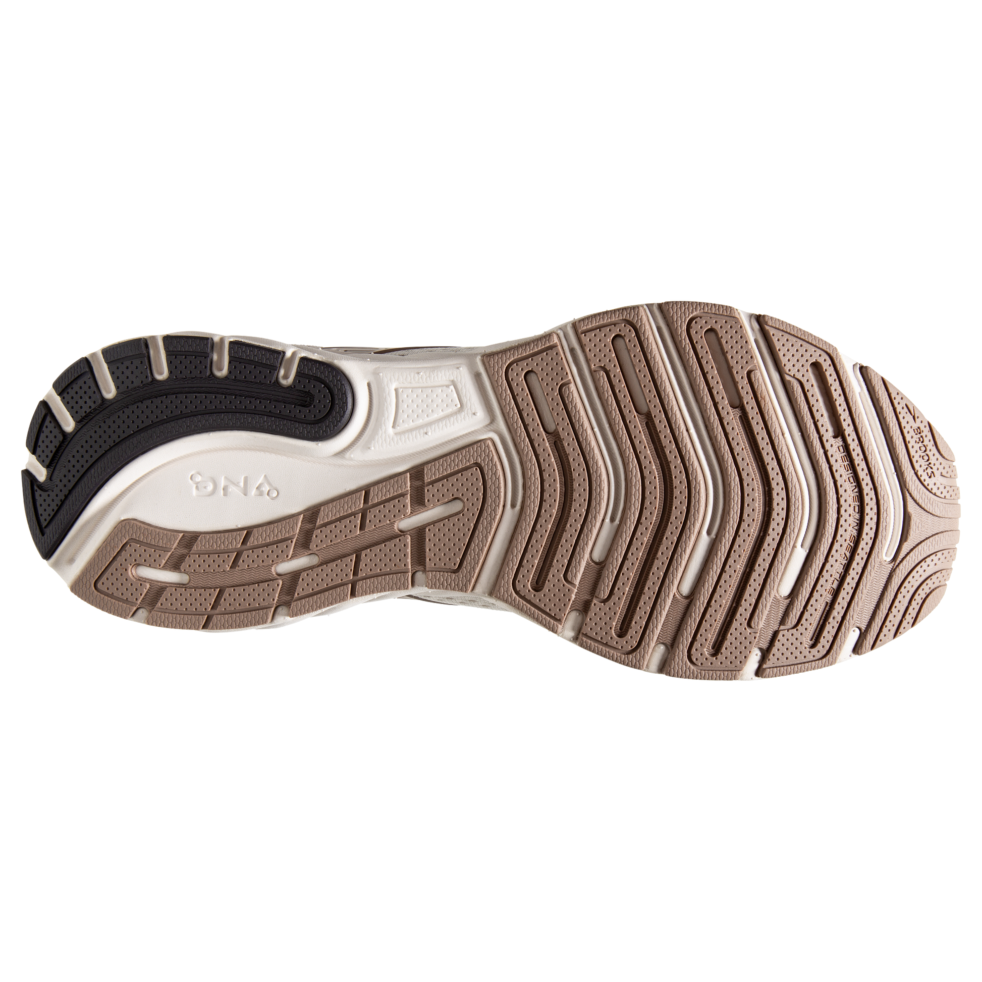 sole