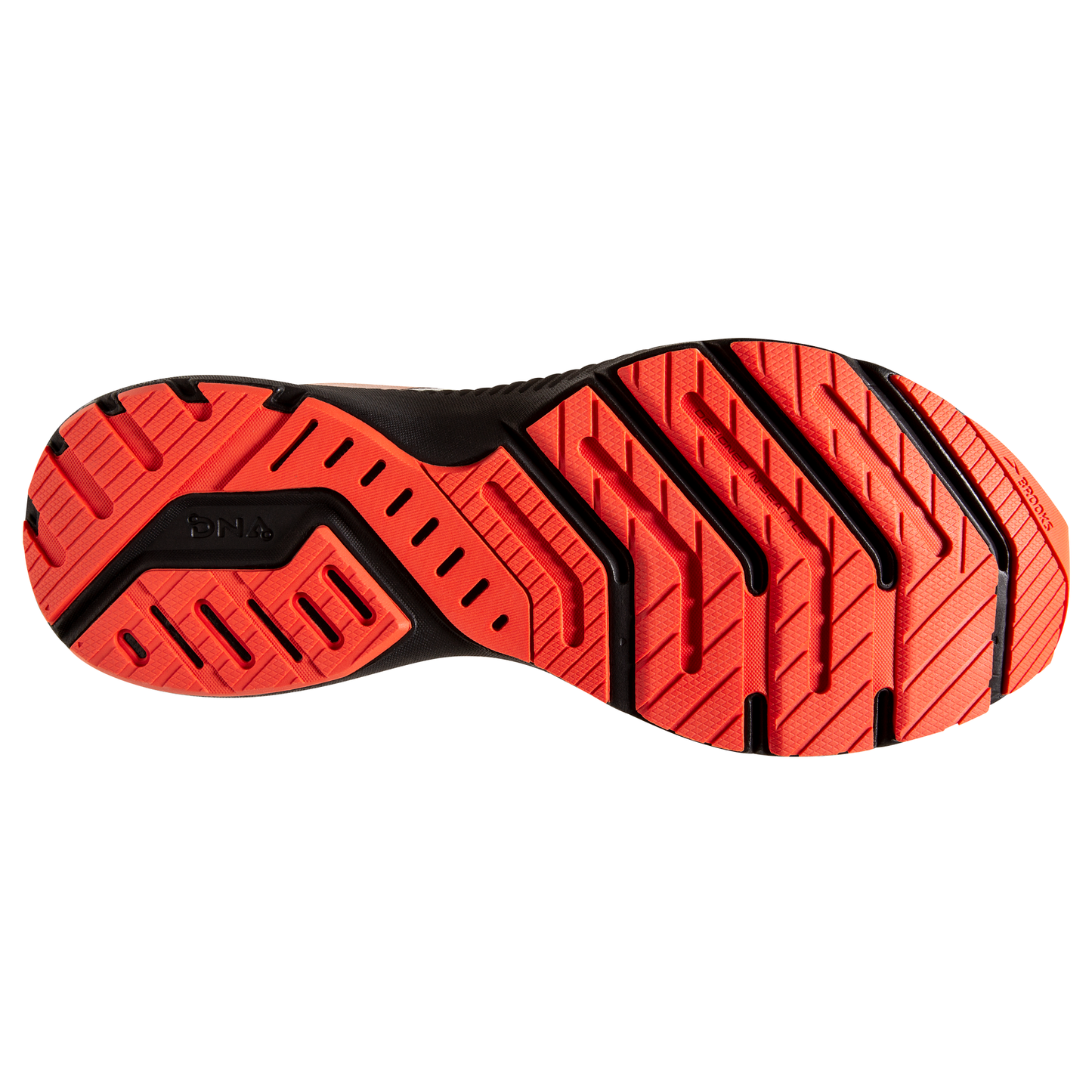 sole