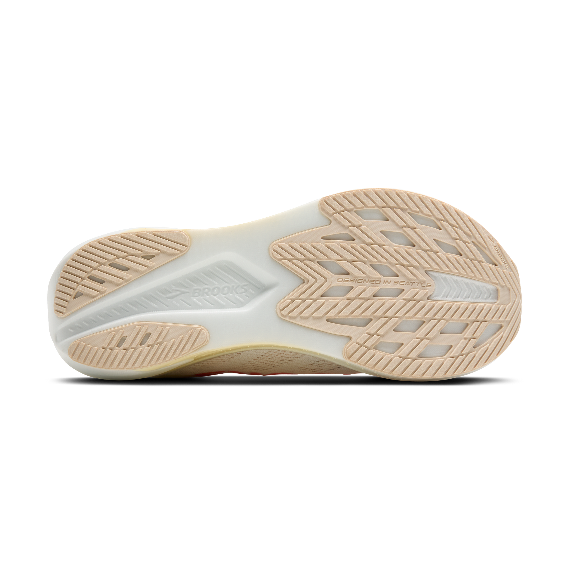 sole