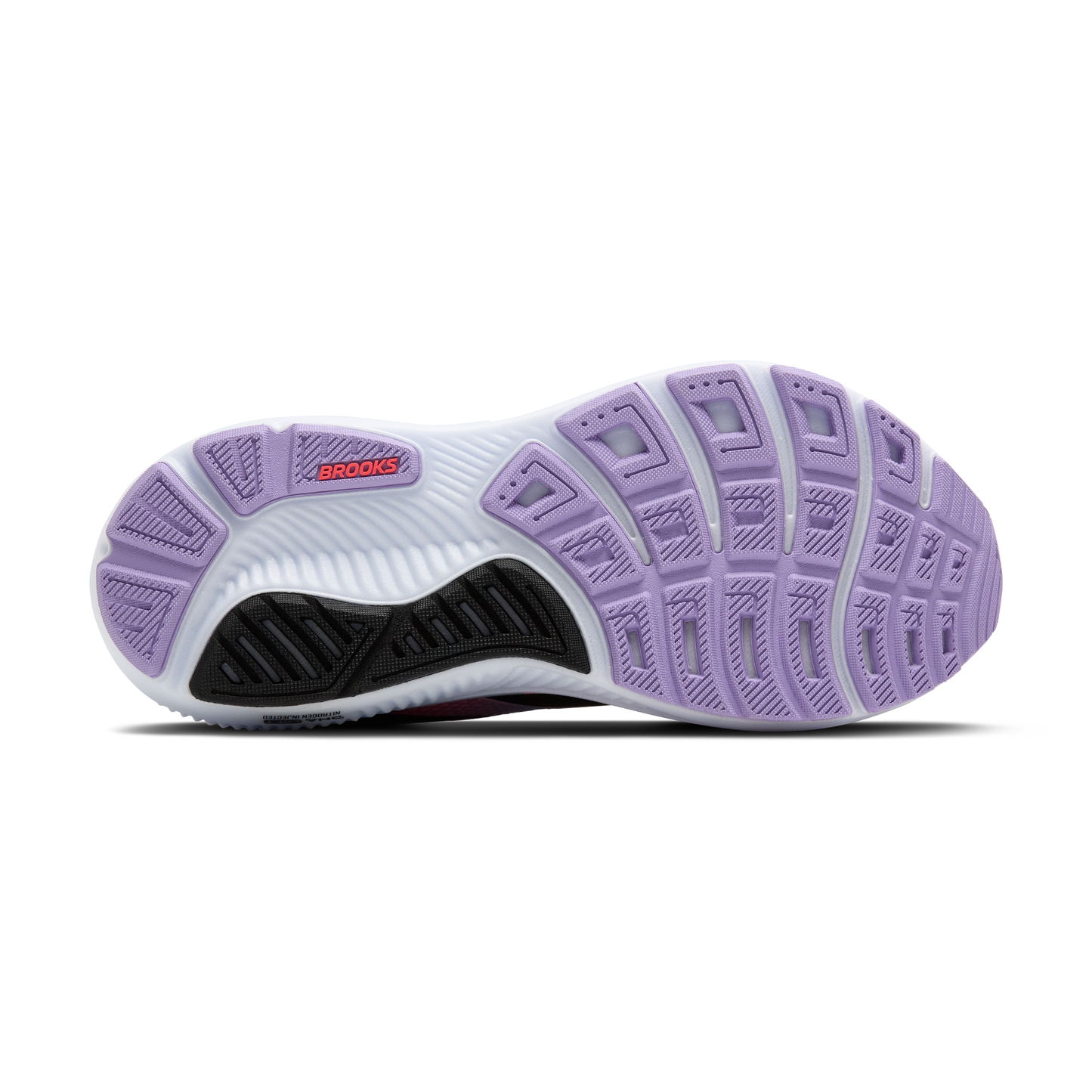 sole
