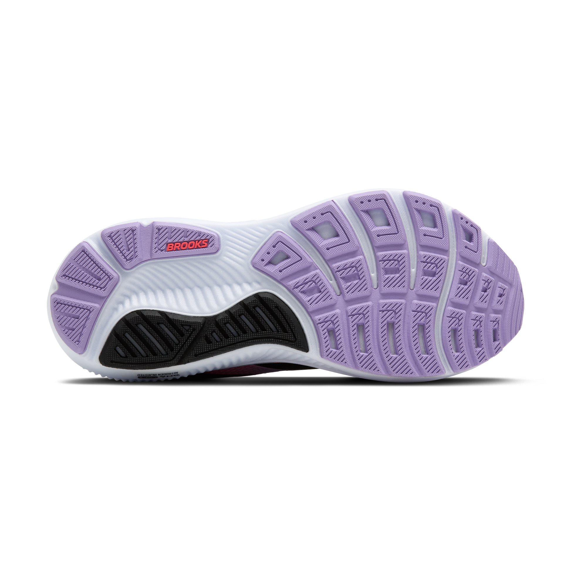 sole