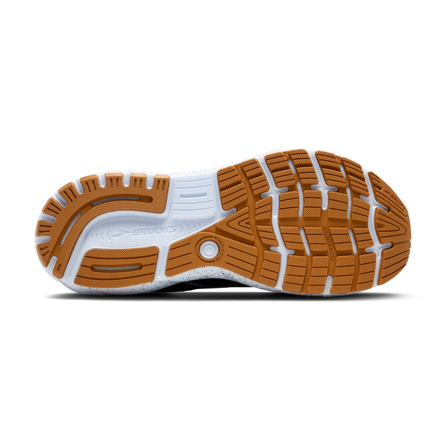 sole